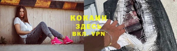 spice Богданович