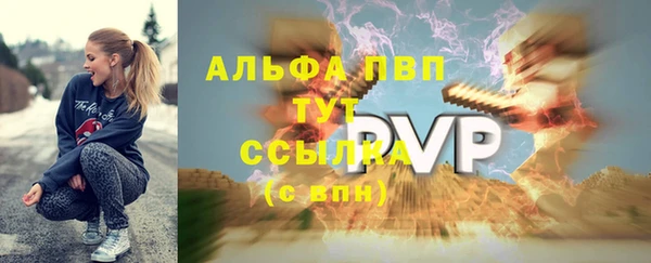 spice Богданович
