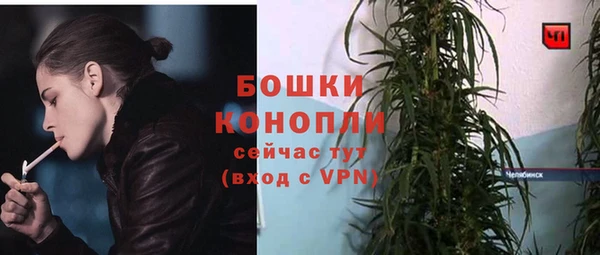 прущая мука Богородицк