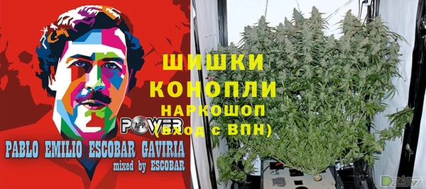 spice Богданович