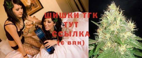 spice Богданович