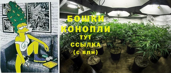 spice Богданович