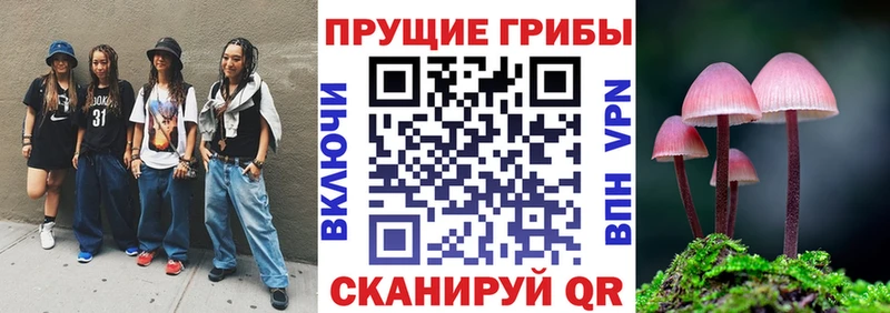 Купить  Гаврилов-Ям  Галлюциногенные грибы Magic Shrooms 
