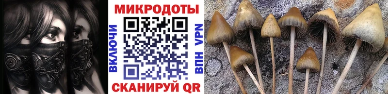 Галлюциногенные грибы Magic Shrooms Гаврилов-Ям